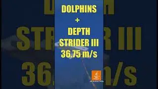 Dolphin's Grace Bedrock versus Java