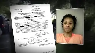 Newly released dashcam video shows Sandra Bland traffic stop