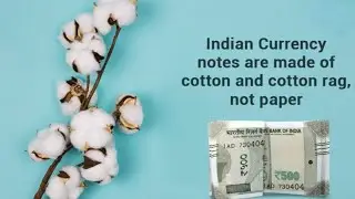Know the Indian Currency