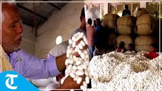 Sericulture Department organises Cocoon Auction Market in JK's Udhampur