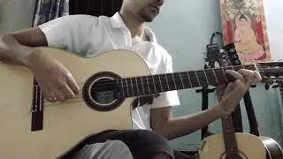 Echoes of love guitar