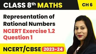 Representation of Rational Numbers - NCERT Ex 1.2 Question 1 - Rational Numbers | Class 8 Maths