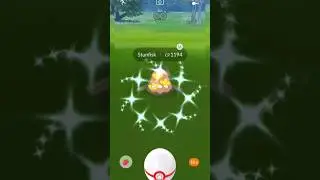 When you get shiny Galarian STUNFISK in the first raid #shorts #pokemongo
