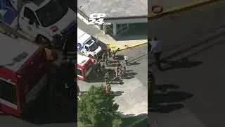 Woman struck by bus was trying to board as driver pulled away: police