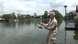 Mekong Catfish Bungsamran Lake