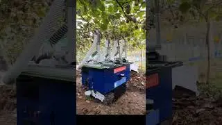 Fruits collection powerful Robot