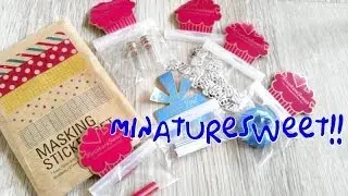 MINIATURESWEET PACKAGE!!