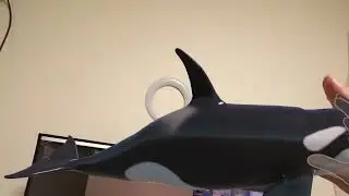 Meta Quest3 Orcas displayed in MR