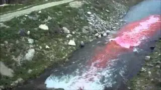 Tracer Dye Tests - Rhodamine WT