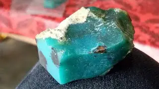 BACAN JUMBO SIZE BABON