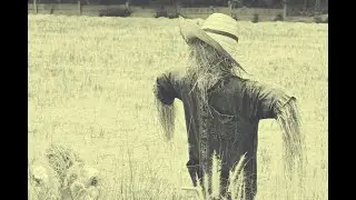 Unlocking the Secrets of the Strawman