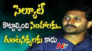 YS Jagan Fires on AP Police || #APDemandsSpecialStatus || NTV