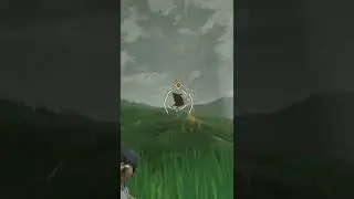 FULL ODDS Shiny Staravia in Pokemon Legends Arceus!