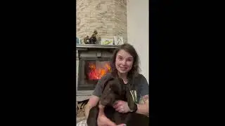 PawBright Dental Plus Honest Review | paw-bright.com Legit or Scam? (2025)