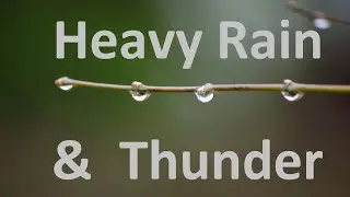 Sounds Of Heavy Rain And Thunder (30 Minutes)
