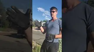 Controlling invasive Russian thistle (tumbleweed)