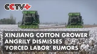 Xinjiang Cotton Grower Angrily Dismisses 'Forced Labor' Rumors From Some Int'l Brands