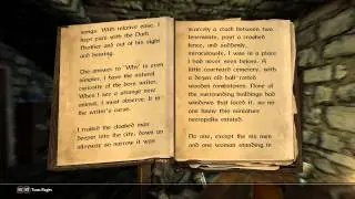 Skyrim: Sacred Witness