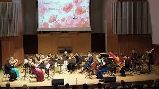 Weiner Le&oacute;: Divertimento - R&oacute;kat&aacute;nc (S&aacute;rv&aacute;ri Von&oacute;sok)
