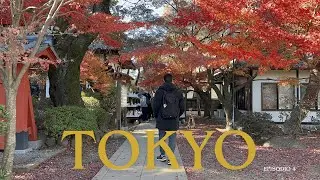 🇯🇵 TOKYO - epis&oacute;dio 4 | Templos, Ichiran Ramen e Harajuku