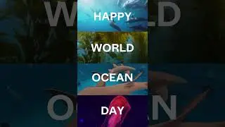 Happy #worldoceansday 🌊🪸🐠🦞