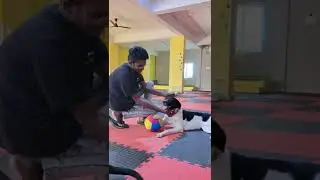 Paw Kingdom loving and royal treatment - boarding and daycare