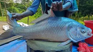 Market Style Fish Cutting Video 🔪 Clean and Fast Fish Cutting from Start to Finish
