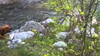 Carlos und Rosa die Wasserratten