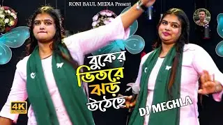 বুকের ভিতরে ঝড় উঠেছ🔥ডিজে মেঘলা🔥Tumi Amar Poaner Poran🔥DJ Meghla🔥Vairal Baul Gaan