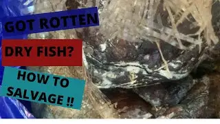 How to Salvage Shipped Spoilt Dry  Cat Fish ! Save Your Dry Fish