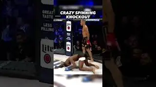 Crazy Spinning Knockout #mma
