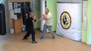 Ving Tsun Kung Fu by Sifu Ulrich Stauner 