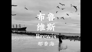 布鲁维斯号为什么不拖走？#威海旅游 #布鲁维斯号 #那香海