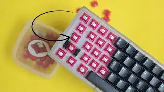 Key Dot Company x C3 Equalz Dragonfruit Switches Review! Light Tactiles