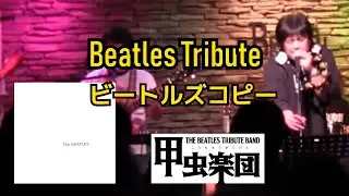 Sexy Sadie (The Beatles Cover)