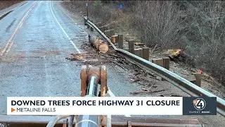 Downed trees force highway 31 closure