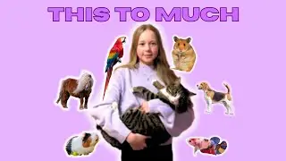 ALL OF MY ANIMALS IN ONE VIDEO!