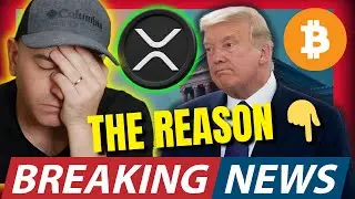 The Reason&hellip;