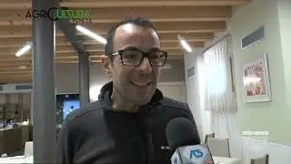 AGRICULTURA VENETA | 01/01/2022 13:52