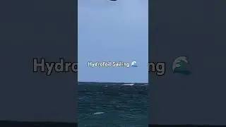 Hydrofoil sailing on a windy day San Juan Puerto Rico. #extremesailing #sailfast #sailingyachts