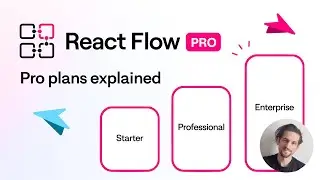 React Flow Pro plans explained