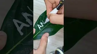 Leaf Magic thirteen #shorts #viral