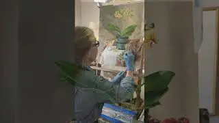 Behind the Scenes with CAA Artist Pamela Carroll