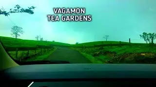 Vagamon Tea Garden | Vagamon | Idduki | Tea Estate | kerala | vinu sweet home