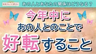 【恋愛タロット3択占い】年末どうなる？これからのあの人とあなたの関係を占いました✨今あの人が二人の関係について考えていること、あの人のあなたへの気持ち、これから好転すること💫｜バランガン浜田らっこ