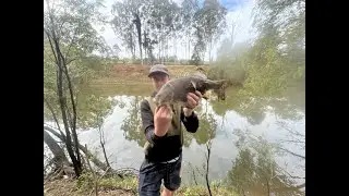 fishing for bass in the logan on top water and hard bodies (pb) caught