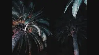 Durrrred - Vicky's Secret