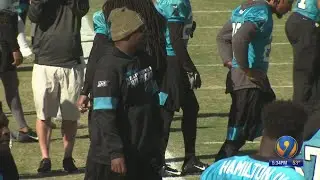 Fewell steps up as Panthers' interim head coach