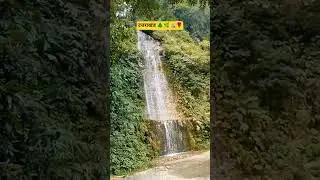 #bikramrawat#🥰#🌲🌿 nature#⛰️ hills #village #thall#district #pithoragad #uk
