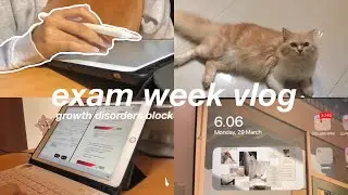 exam week vlog | study with me, watching movie, play with my cat | indonesian med student